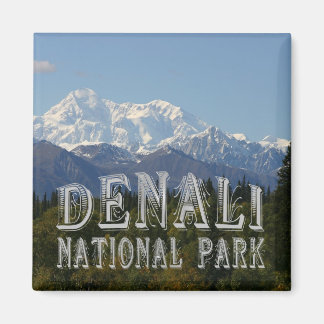 Aimant Parc national de l'Alaska Denali Mont McKinley Mag