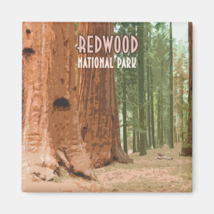 Aimant Parc national de Redwood, Californie