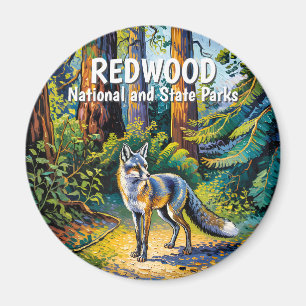 Aimant Parc national de Redwood Faune renard de la forêt