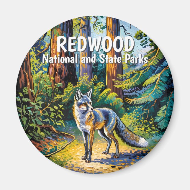 Aimant Parc national de Redwood Faune renard de la forêt  (Devant)