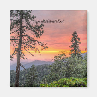 Aimant Parc national de Sequoia, Californie,