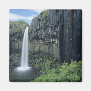 Aimant Parc national de Skaftafell, cascade de Svartifoss