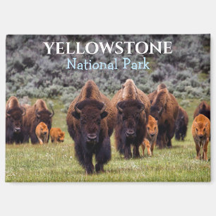 Aimant Parc national de Yellowstone Bison Buffalo