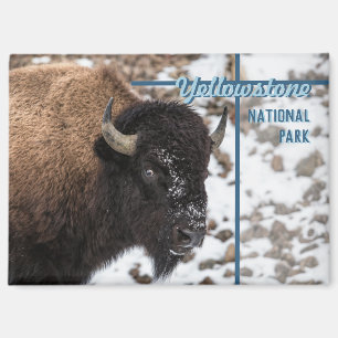 Aimant Parc national de Yellowstone Bison Souvenir Cadeau