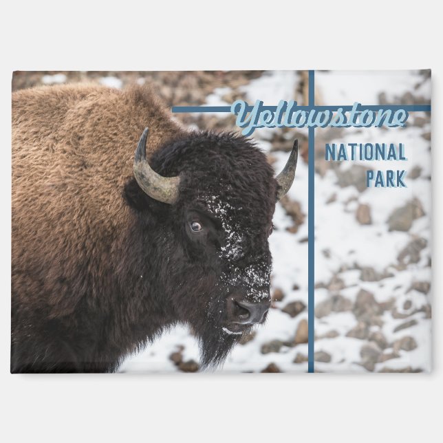 Aimant Parc national de Yellowstone Bison Souvenir Cadeau (Recto)
