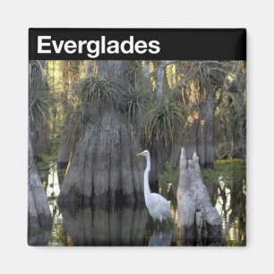 Aimant Parc national des Everglades
