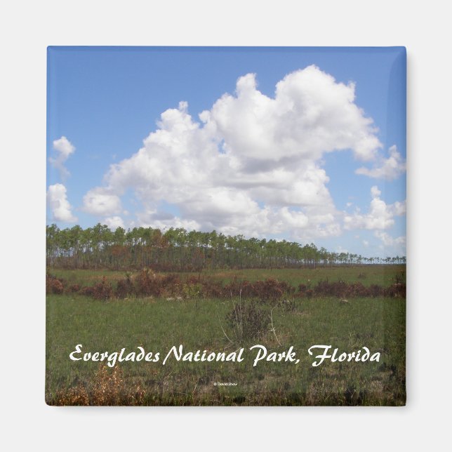 Aimant Parc national des Everglades, Floride (Devant)