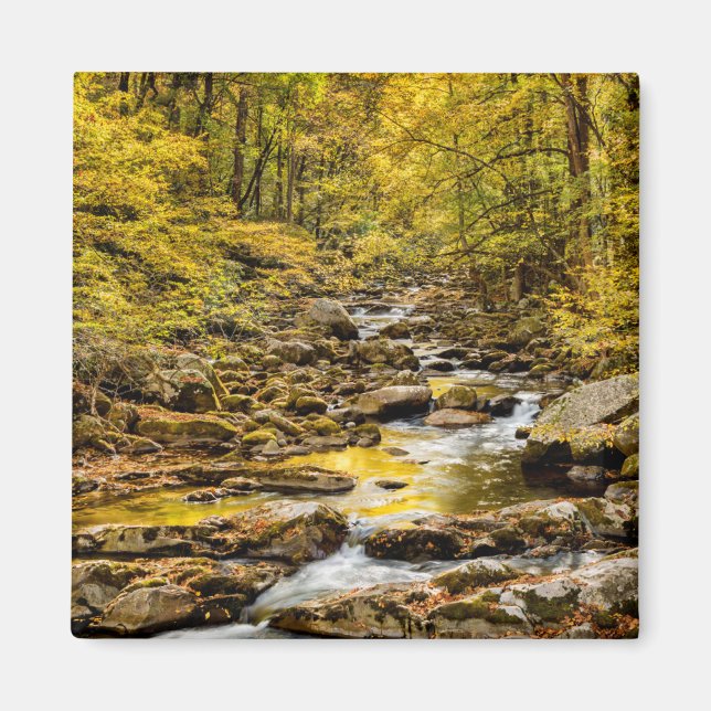 Aimant Parc national des Great Smoky Mountains. Big Creek (Devant)