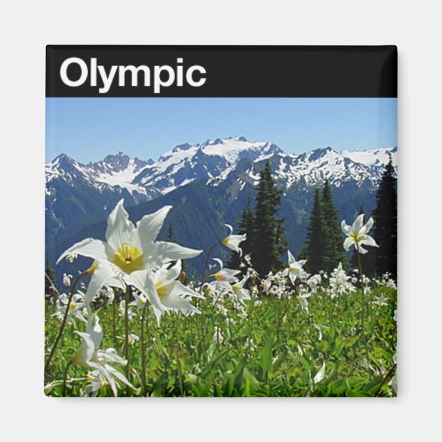 Aimant Parc national olympique (Devant)