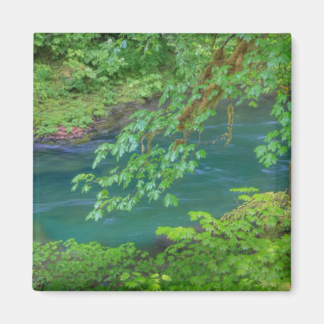 Aimant Parc national olympique Washington State (Devant)