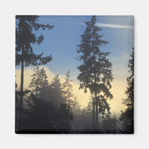 Aimant Parc Stanley, bois, brouillard de couche marine qu