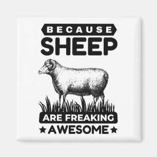 Aimant Parce Que Les Moutons Se Font Des Feux Étonnants