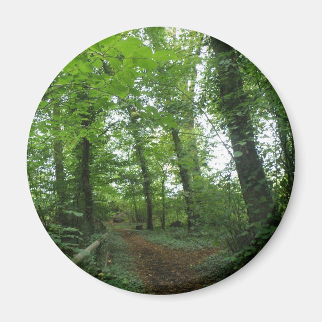 Aimant Parcours à travers l'aimant de la forêt verte (Devant)