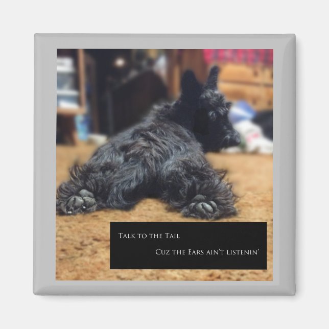 Aimant Parlez à la Queue (Devant)