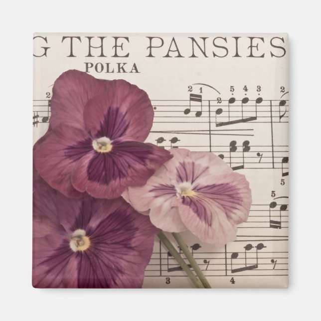 Aimant Parmi Les Pansies (Devant)