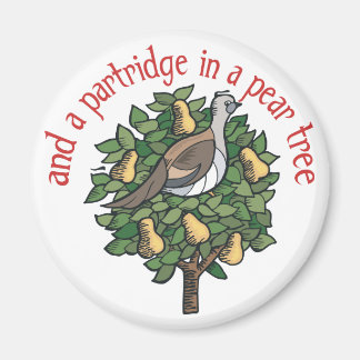 Aimant Partridge dans un arbre à poires