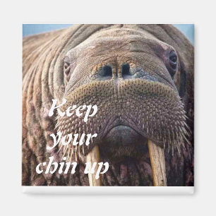 Aimant Pas de carte de sympathie : Hospitalité ou maladi