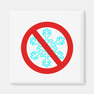 Aimant Pas de flocon de neige