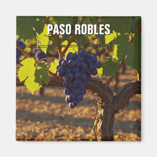 Aimant Paso Robles Côte centrale de Californie