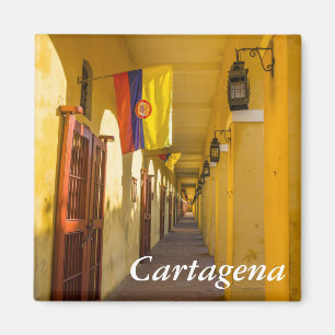 Aimant Passageway and Flags