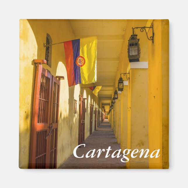 Aimant Passageway and Flags (Devant)