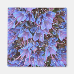Aimant Passion violette