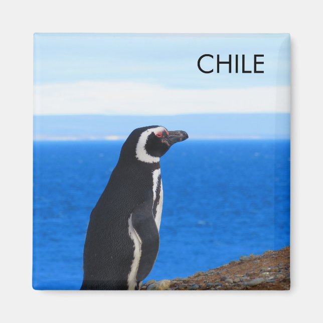 Aimant Patagonie Chili Pingouin (Devant)