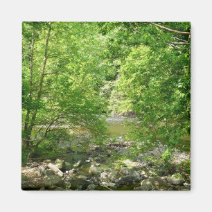 Aimant Patapsco River View Maryland Nature Photographie