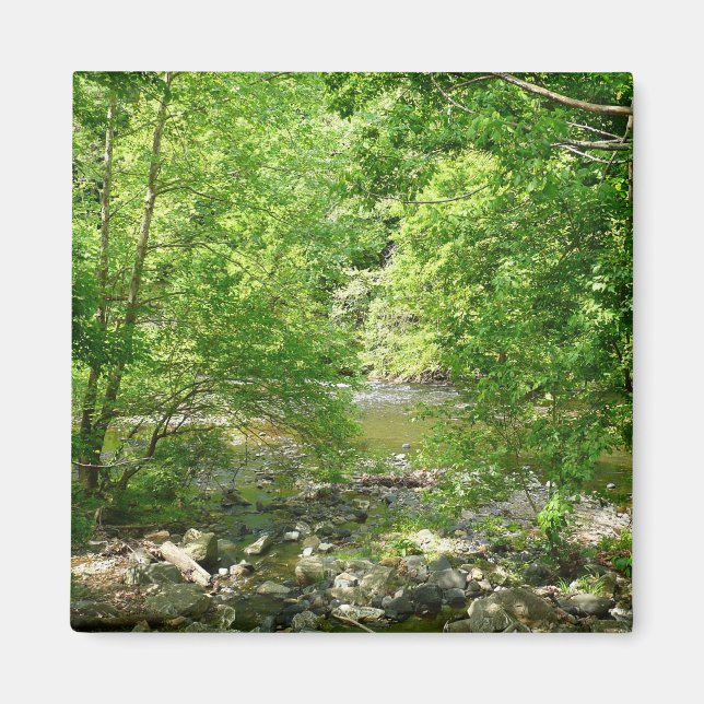 Aimant Patapsco River View Maryland Nature Photographie (Devant)
