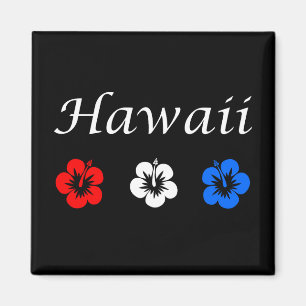 Aimant Patriotique Hawaii Aloha Rouge Blanc Bleu Fleurs