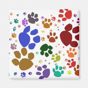 Aimant pattes colorées de chat