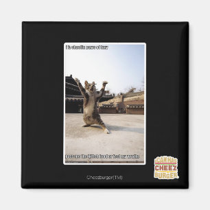 Aimant Pattes de shaolin de l'iz I de fureur