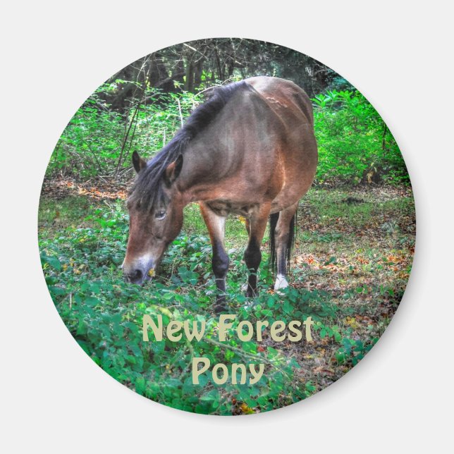 Aimant Pâturage Nouvelle Forêt Pony Faune (Devant)
