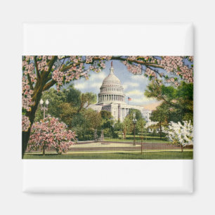 Aimant PAU46 US Capitol.tif