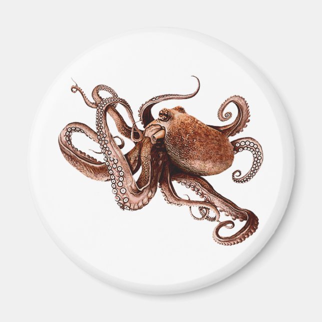 Aimant Paul L'Octopus (Devant)