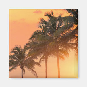 Aimant Paumes de Miami