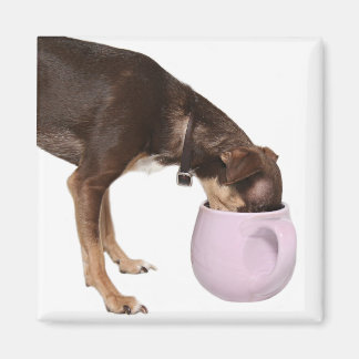 Aimant pause café
