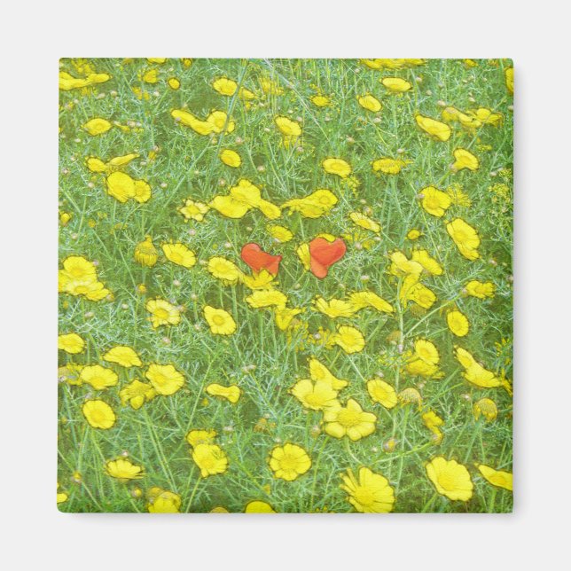 Aimant Pavot aquarelle (Devant)