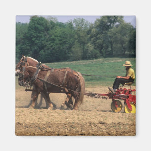 Aimant Pays Amish personnes simples dans l'agriculture av