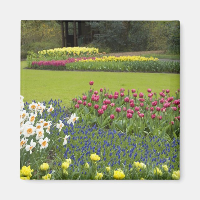 Aimant Pays-Bas aka Hollande), Lisse. Keukenhof 5 (Devant)