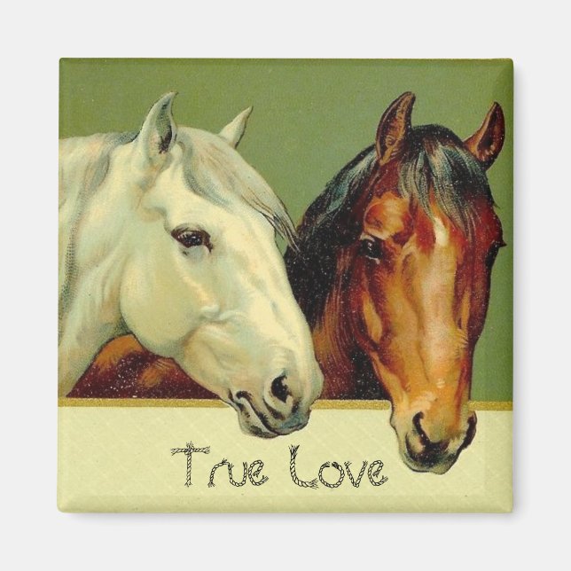 Aimant Pays Chevaux Vintages Véritable Amour Réfrigérateu (Devant)
