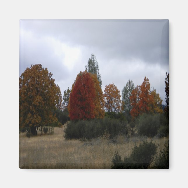 Aimant Pays Couleurs de automne..... (Devant)