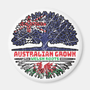 Aimant Pays de Galles Australie Australie Drapeau des rac