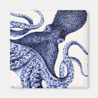 Paysage Bleu Octopus