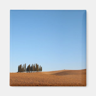 Aimant Paysage carré de la Toscane avec l'aimant d'arbre
