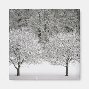 Aimant Paysage couvert de neige