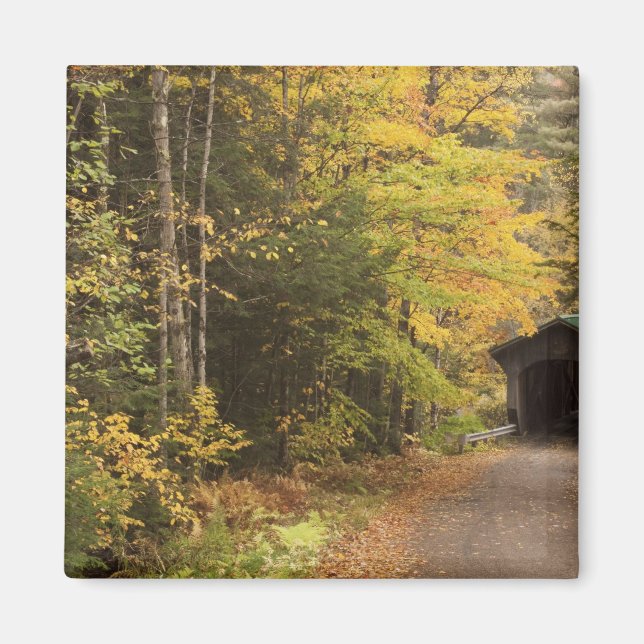 Aimant paysage d'automne, Vermont, États-Unis 4 (Devant)