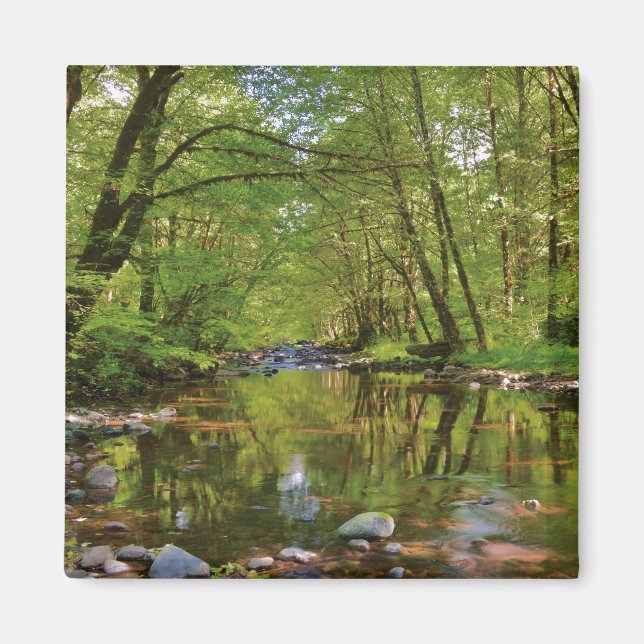 Aimant Paysage de la rivière Wilson (Devant)