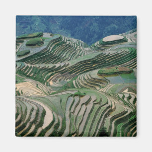 Aimant Paysage de rizières en terrasse dans la montagne,