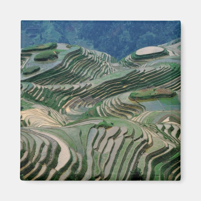Aimant Paysage de rizières en terrasse dans la montagne, (Devant)